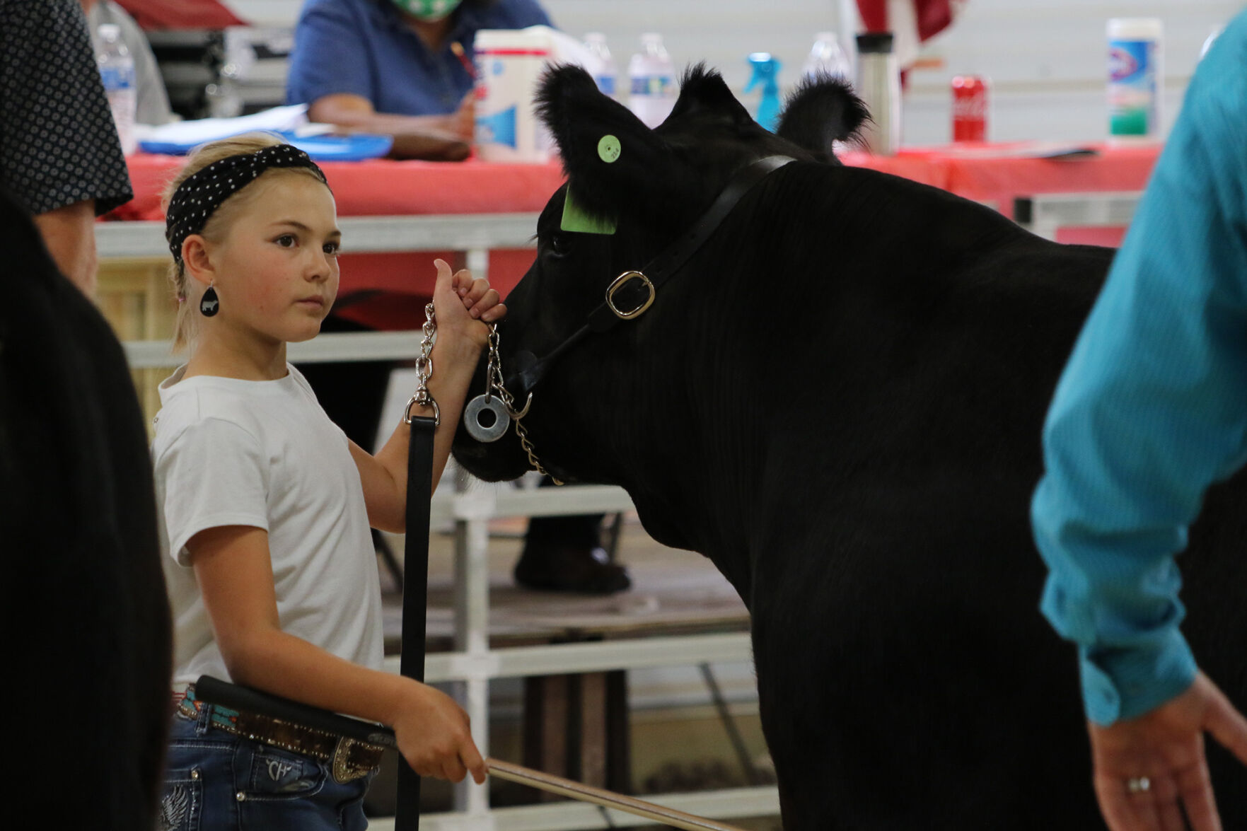 PHOTOS: Market Beef Show 2020